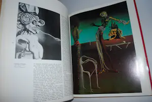 Salvador Dali - 2 hardcovers, waarvan 1 met een kleurenlitho (31x44 cm) kopen? Bied vanaf 150!