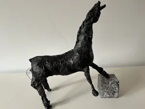 Ger Lataster - PAARD kopen? Bied vanaf 800!