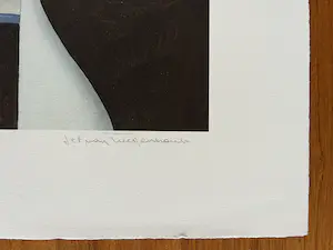 Jef van Tuerenhout - Gesigneerde kleurenlitho - Zeer goede staat kopen? Bied vanaf 95!