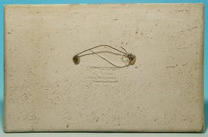 Helmut Friedrich Schäffenacker - fohlen schwarz-weiß keramik relief um 1955 kopen? Bied vanaf 290!