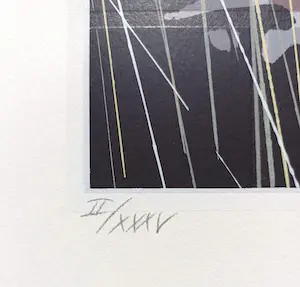 Jan Hendrix - Sun, zeefdruk kopen? Bied vanaf 60!