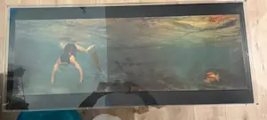 Panamarenko - Reis naar Egypte I en II kopen? Bied vanaf 1600!