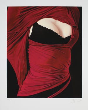 Willi Kissmer - Kleurengiclee SIMPLY RED Handgesigneerd. kopen? Bied vanaf 95!