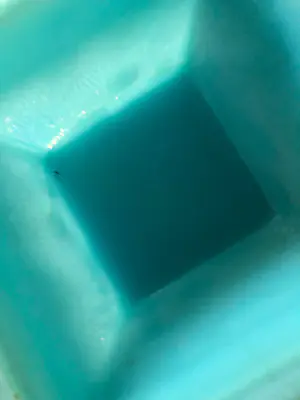 Niet of onleesbaar gesigneerd - art deco glazen voorraadpot / suikerpot?? kopen? Bied vanaf 1!