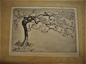 Niet of onleesbaar gesigneerd - Fraaie omstreeks 1920 gesigneerd droge naald Ets "Bloesemboom" kopen? Bied vanaf 1!