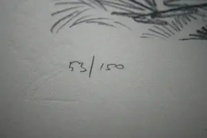 Marcello Cassinari Vettor - Cavallo - steigerend paard - grote litho, oplage 53/150 kopen? Bied vanaf 60!