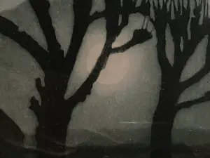 Tjeerd Bottema - Boederij bij maanlicht kopen? Bied vanaf 70!