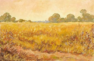 Jan Dekker - Olieverf op hardboard, Graan kopen? Bied vanaf 1!