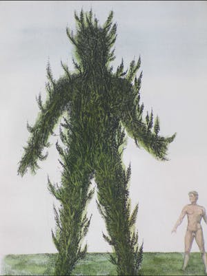 Jean Paul Vroom - Metamorfose - Kleurets kopen? Bied vanaf 1!