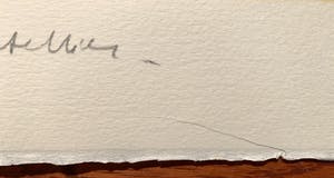 Pierre Letellier - Ballerinas kopen? Bied vanaf 20!