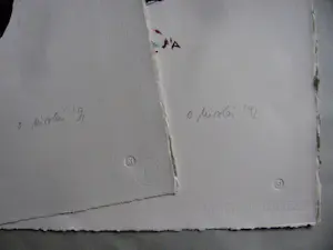 Olaf Nicolai - 2 FARBLITHOGRAPHIEN " GABE " und " VERTEILUNG " . kopen? Bied vanaf 150!