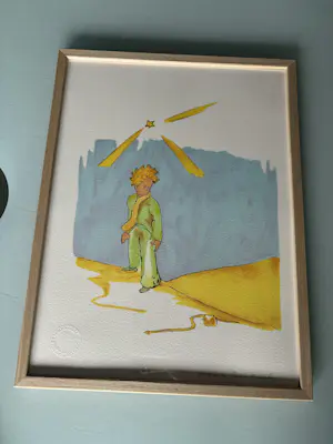 Antoine de Saint-Exupery - Le Petit Prince kopen? Bied vanaf 600!