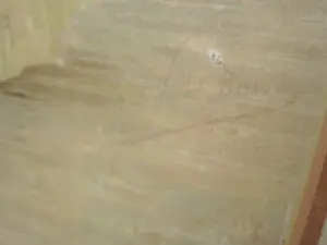 Frederique Valet-Bison - Elegantes kopen? Bied vanaf 30!