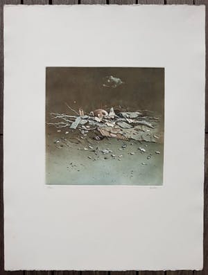 Hiroshi Asada - Wrakhout, aquatint ets kopen? Bied vanaf 55!