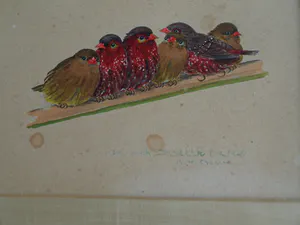 Niet of onleesbaar gesigneerd - Ingelijst, Gouache , 6 Vogeltjes op een tak - Oud kopen? Bied vanaf 1!