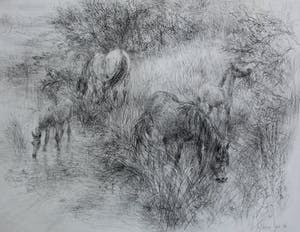 Piet Klaasse - Potlood tekening: Dartmoor ponies - 1976 kopen? Bied vanaf 75!