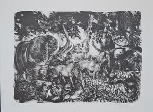 Jan Mensinga - De Schepping - 7 handgesigneerde litho's kopen? Bied vanaf 110!