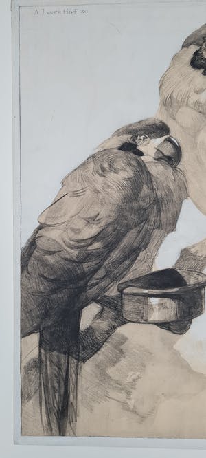 Adriaan van 't Hoff - Twee papegaaien op een tak - handgesigneerde tekening 1930 kopen? Bied vanaf 225!