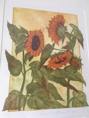 Willemien Holterman - kleurets Zonnebloemen kopen? Bied vanaf 100!