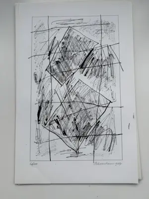 Jan Schoonhoven - Formatie 12 Zeefdrukken in Portfolio. Allen handgesigneerd (Zeldzaam). kopen? Bied vanaf 2950!