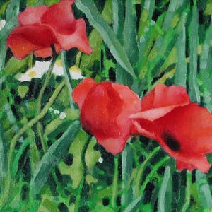 Willem Visser - Klaprozen 1 kopen? Bied vanaf 99!