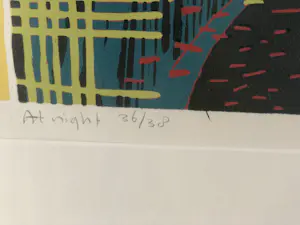 Diana van Hal - At Night kopen? Bied vanaf 50!