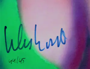 Peter Klashorst - Pop -Art stijl, prachtig van kleur! kopen? Bied vanaf 75!