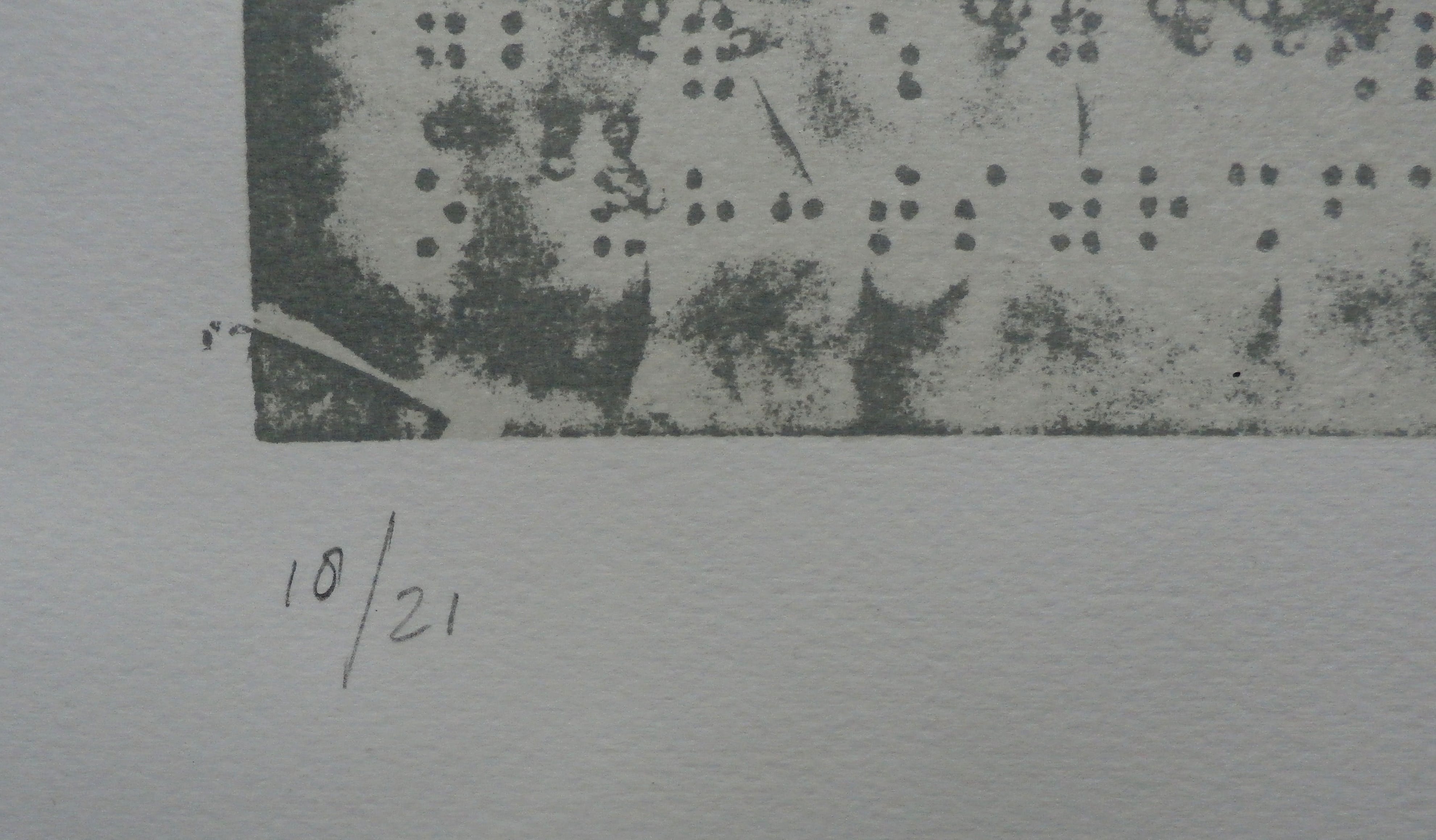 Willem Oorebeek - litho: Polia poliphile - 1981 kopen? Bied vanaf 35!