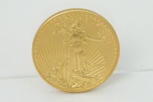 2013- Massief 0.917/1000 gouden USA 50$ Gold Eagle / Liberty MUNT 2009 kopen? Bied vanaf 1460!