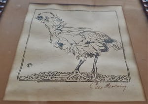 Cees Bolding - Kuiken kopen? Bied vanaf 75!