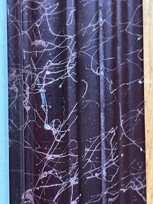 Leo Gestel - Boerderij kopen? Bied vanaf 200!