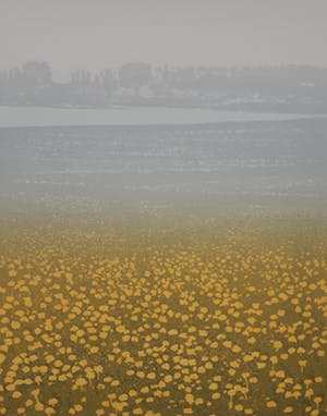 Elmar Gille - Drieluik - Uiterwaarden kopen? Bied vanaf 65!