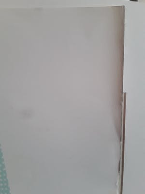 Woody van Amen - Cavellini 1914-2014,Campo di tutti capi kopen? Bied vanaf 10!