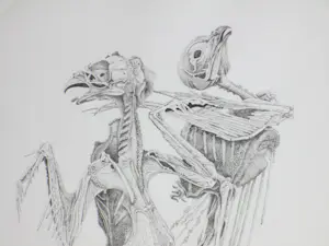 Gerard van Rooy - Danse Macabre III - Ets kopen? Bied vanaf 50!