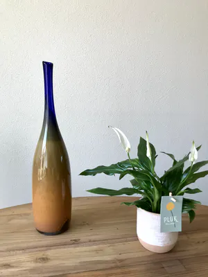 Floris Meydam - Tweekleurige "Serica" fles kopen? Bied vanaf 129!