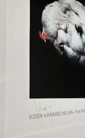 Koen Vanmechelen - Offset Koen Vanmechelen kopen? Bied vanaf 575!