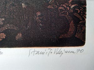 Stanislaw Wejman - druwo kopen? Bied vanaf 80!