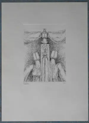 Hubert Minnebo - Map met vier etsen en twee foto's kopen? Bied vanaf 100!