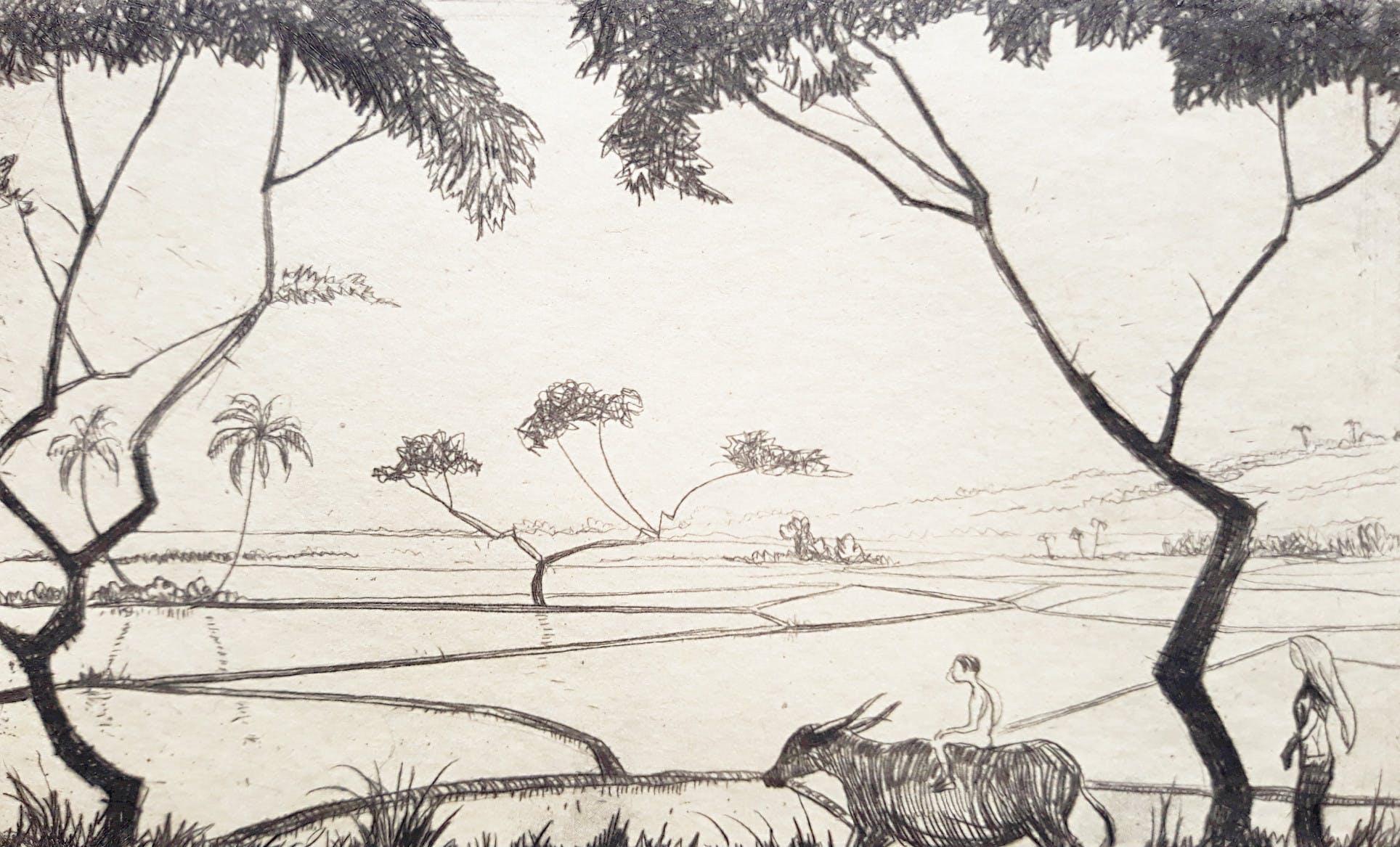 Jan Poortenaar - Man op buffel in landschap met sawah’s, ets kopen? Bied vanaf 25!