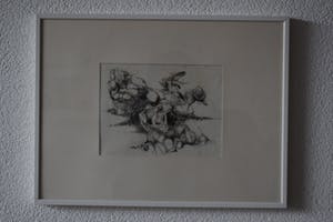 Pim Olivier - litho - Insekten met kikker kopen? Bied vanaf 40!