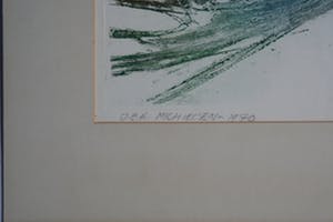 Jan Michielsen - kleurenets - oplage 1/1 - gesigneerd kopen? Bied vanaf 1!
