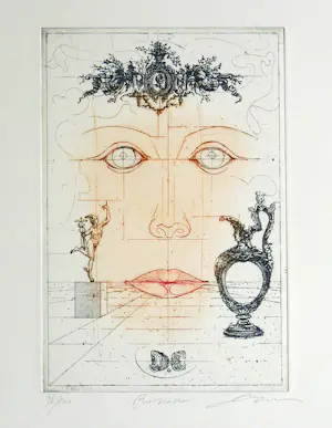 Dan Erceanu - rococo kopen? Bied vanaf 39!