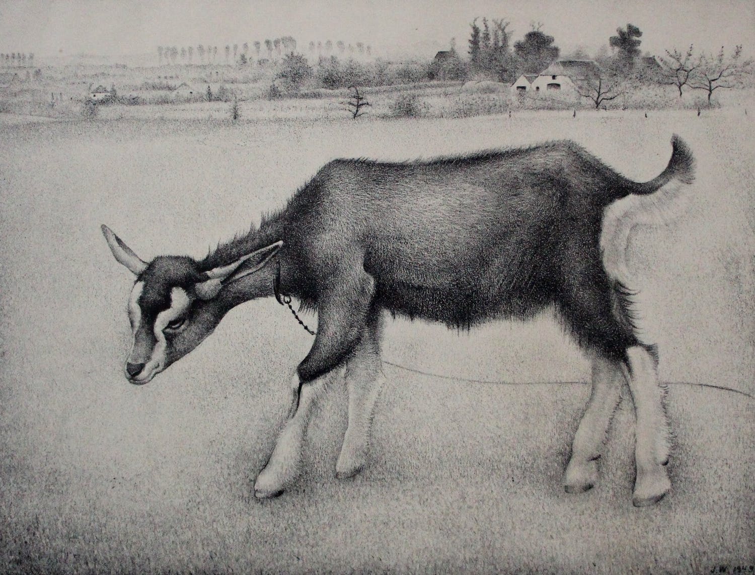 Jan Wittenberg litho geitje Verkocht Kunstveiling.nl