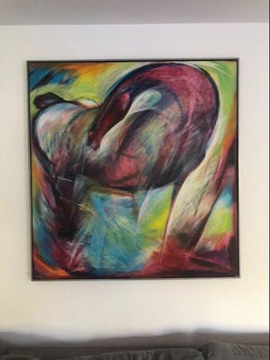 Frits van Eeden - Paard kopen? Bied vanaf 800!