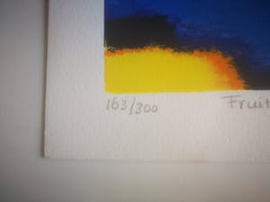 Saskia Bremer - Fruitful cooperation kopen? Bied vanaf 39!