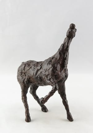 Annette Koek - Brons, Paard kopen? Bied vanaf 350!