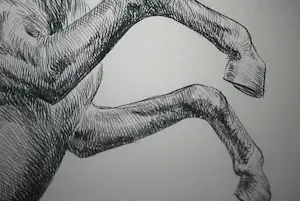 Marcello Cassinari Vettor - Cavallo - steigerend paard - grote litho, oplage 53/150 kopen? Bied vanaf 60!