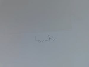 Leonor Fini - Variations kopen? Bied vanaf 25!
