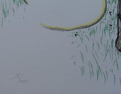 Roger Raveel - Felix vulgaris kopen? Bied vanaf 325!