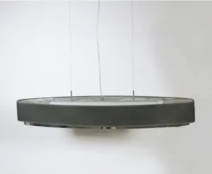 AcheterNiet of onleesbaar gesigneerd - Ovalen design plafondlamp? Enchérissez de 1!